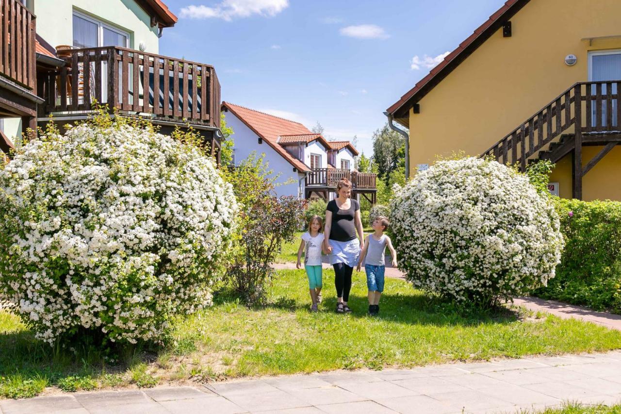 Mueritzparadies - Feriendorf Alte Fahrt Rechlin Luaran gambar